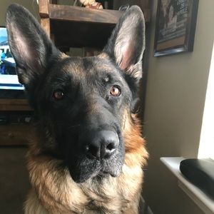 Meet your Posher, Emanuele